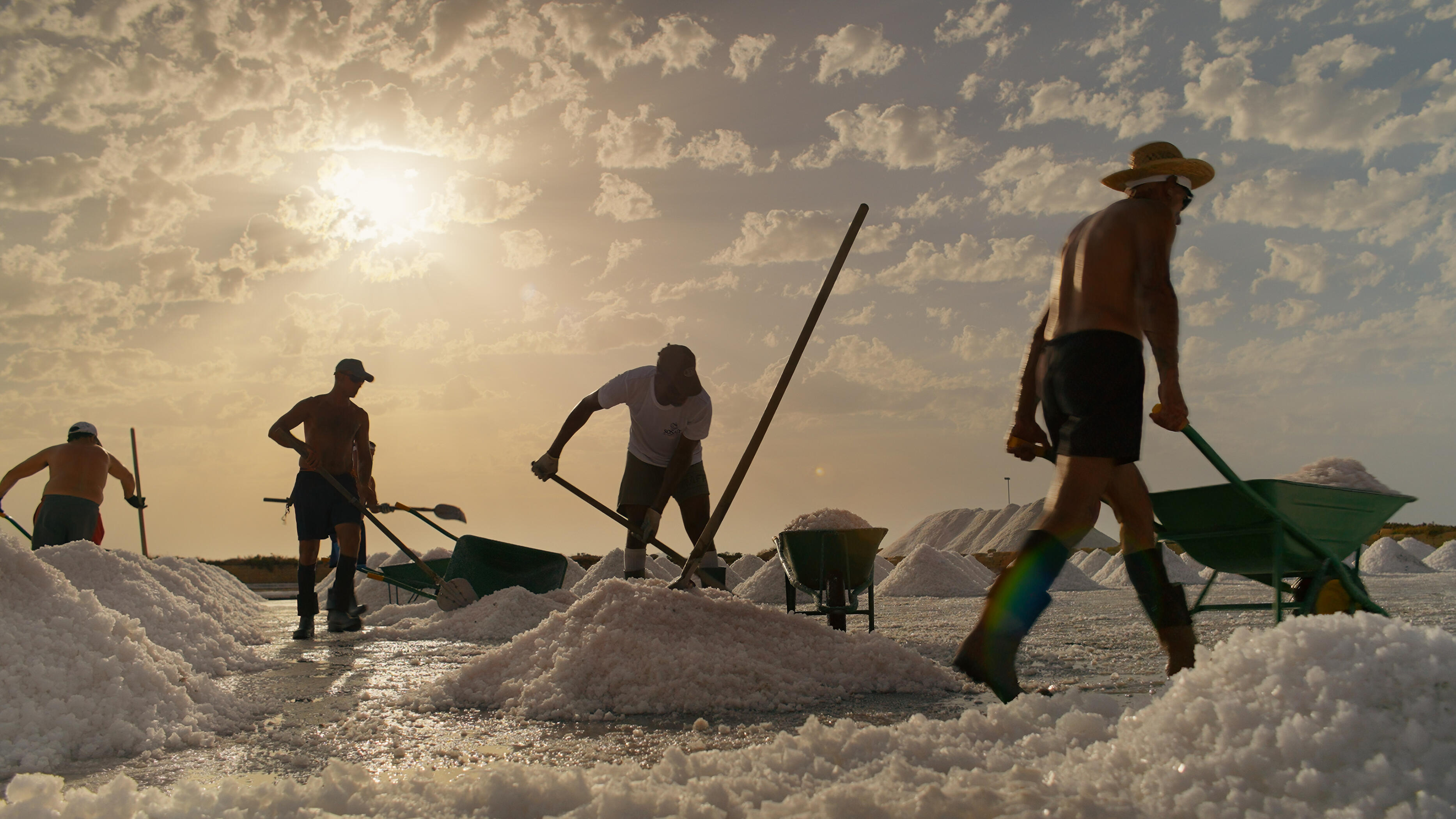 Lu Salinaru Short documentary Lu Salinaru Short documentary, directed by Alessandro Montalbano. DOP Artūrs Šulbergs. Shot in Saline di Marsala, Trapani, Sicily.